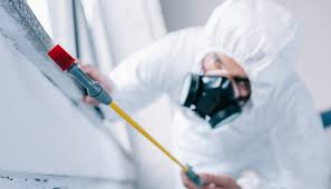 Best Pest Control for Multi-Family Homes  in Lake Carmel, NY